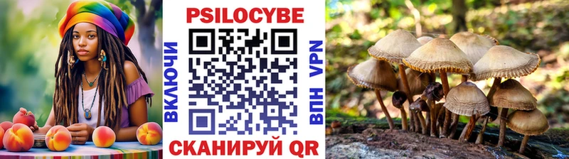 это состав  Новоуральск  Галлюциногенные грибы Psilocybine cubensis 